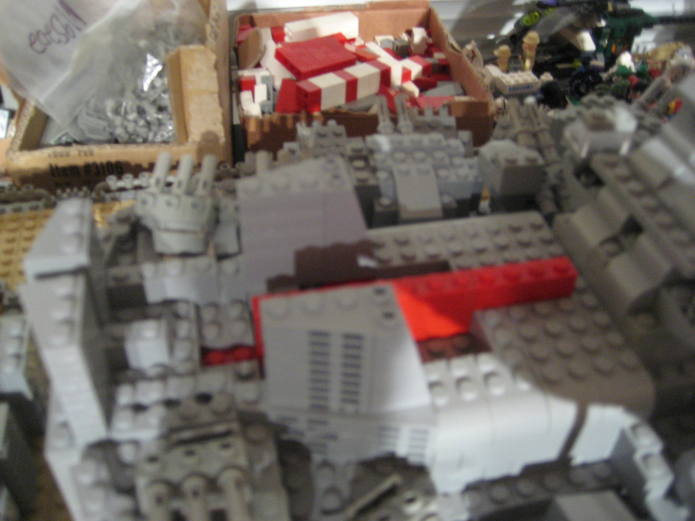 000019.jpg