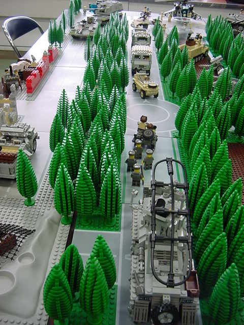 forest-road.jpg