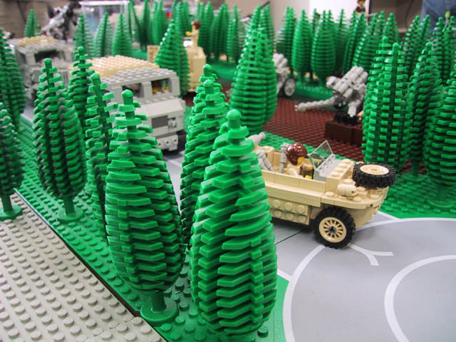 forest01tz.jpg