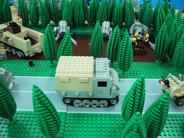 forest02tz.jpg