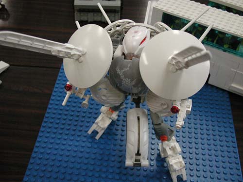 edgejapan-r03.jpg