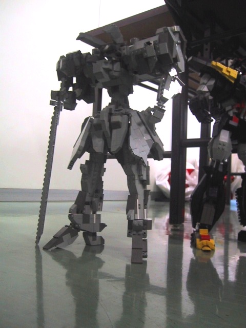 fujisawa_mh01.jpg