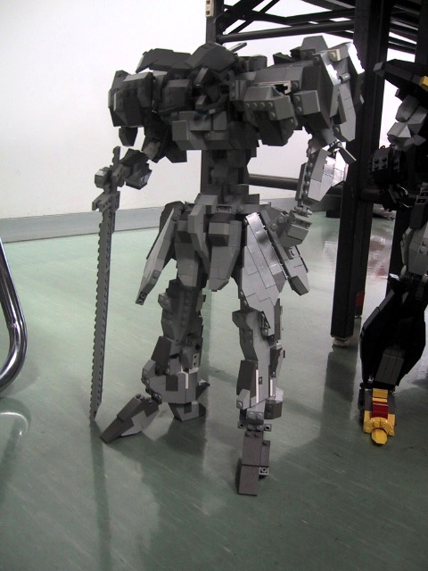 fujisawa_mh02.jpg
