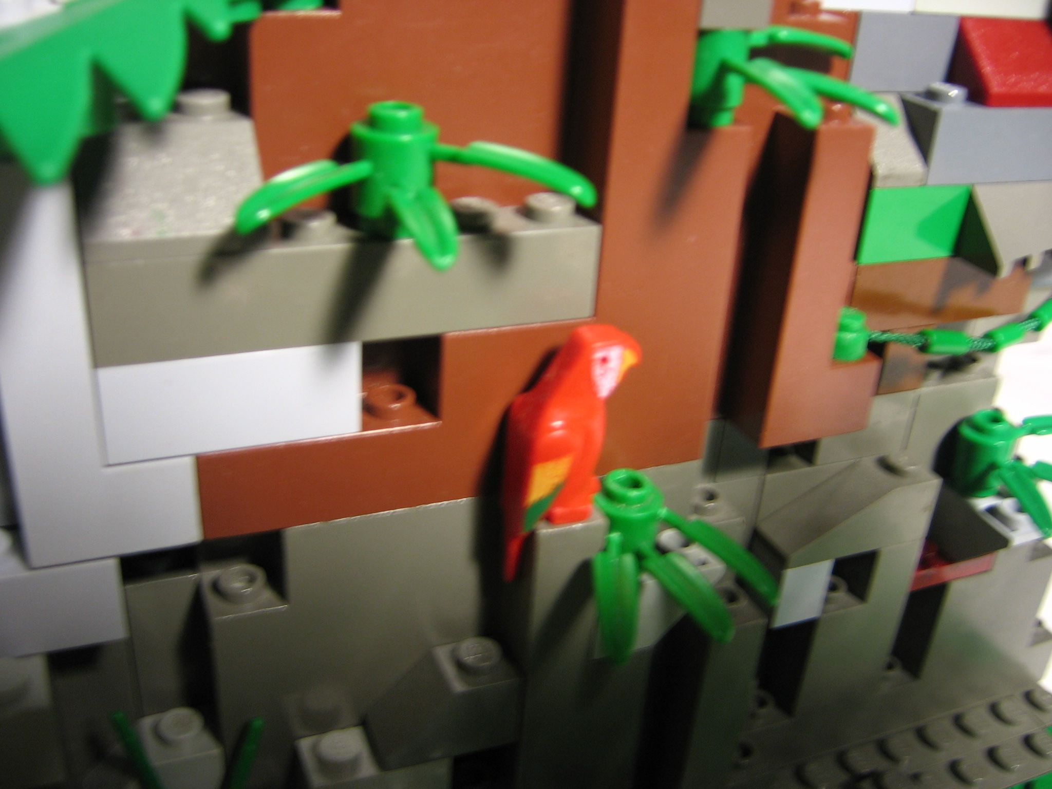 parrot.jpg