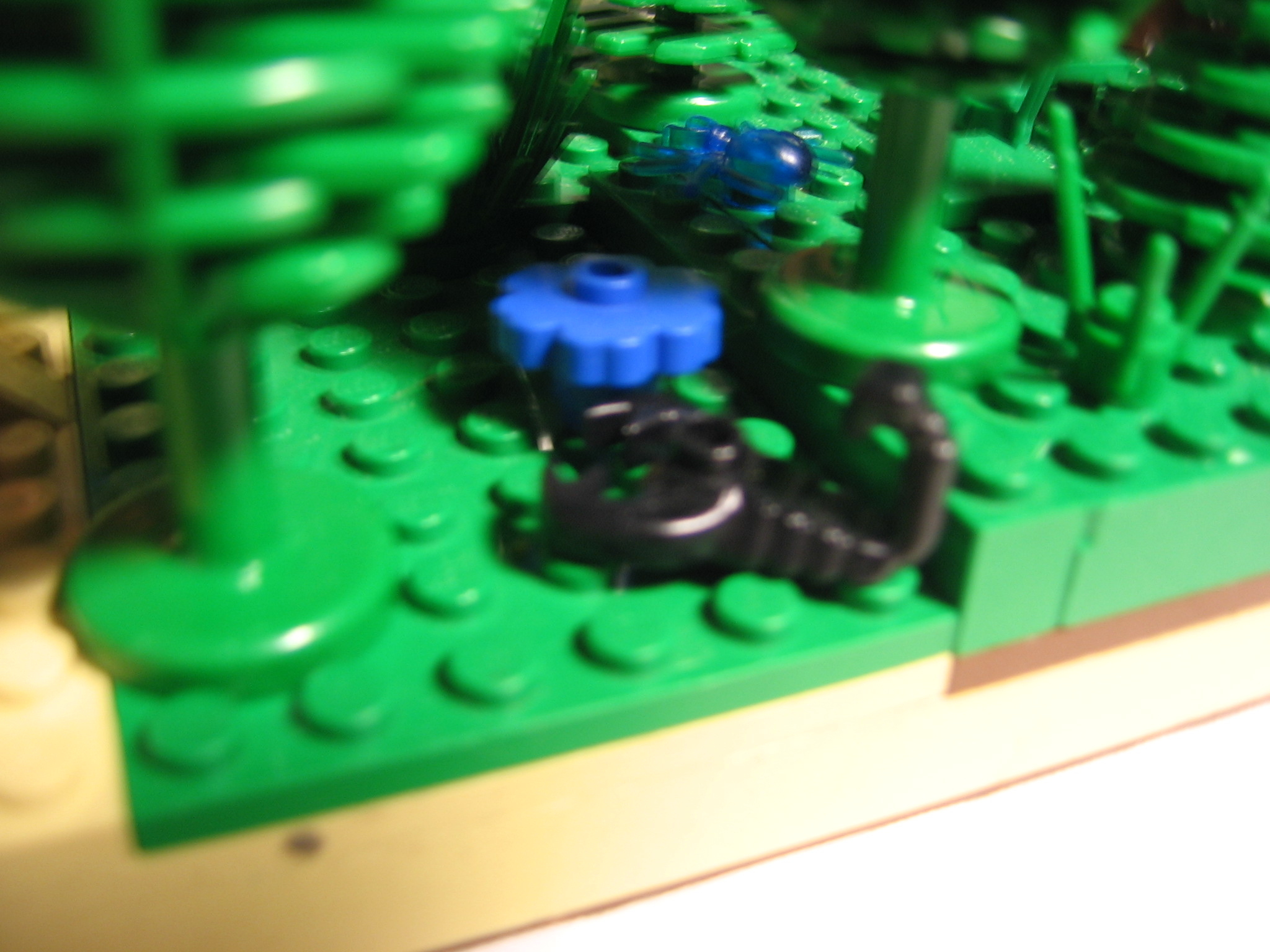 scorpion_and_spider.jpg