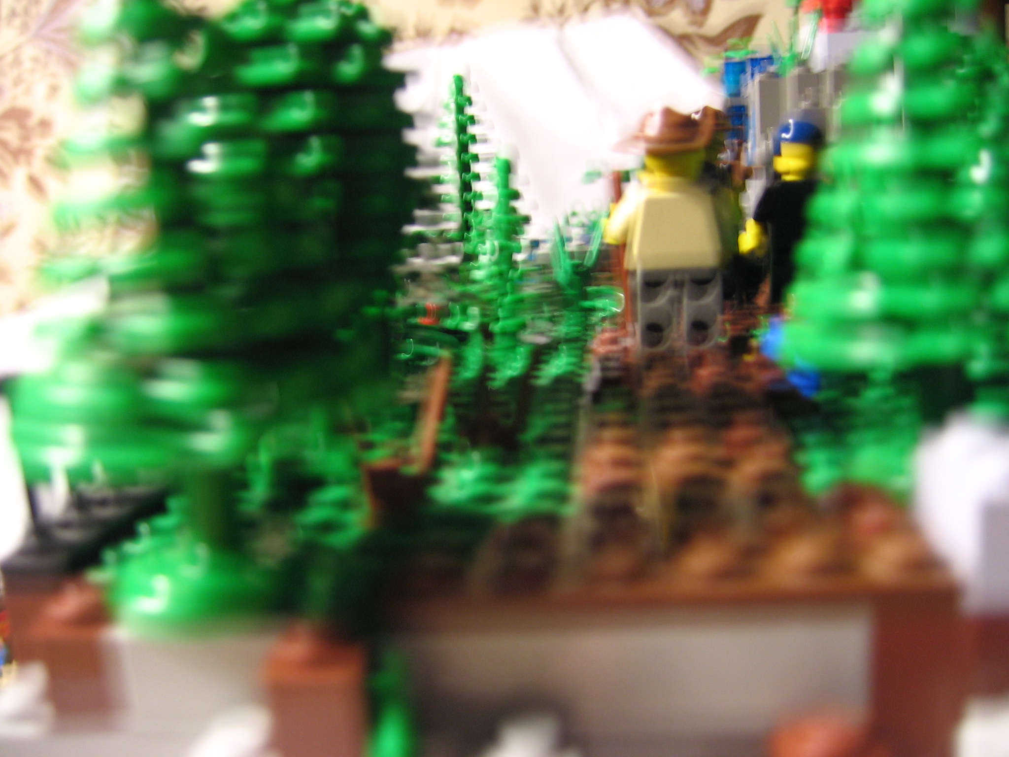 trail_1.jpg
