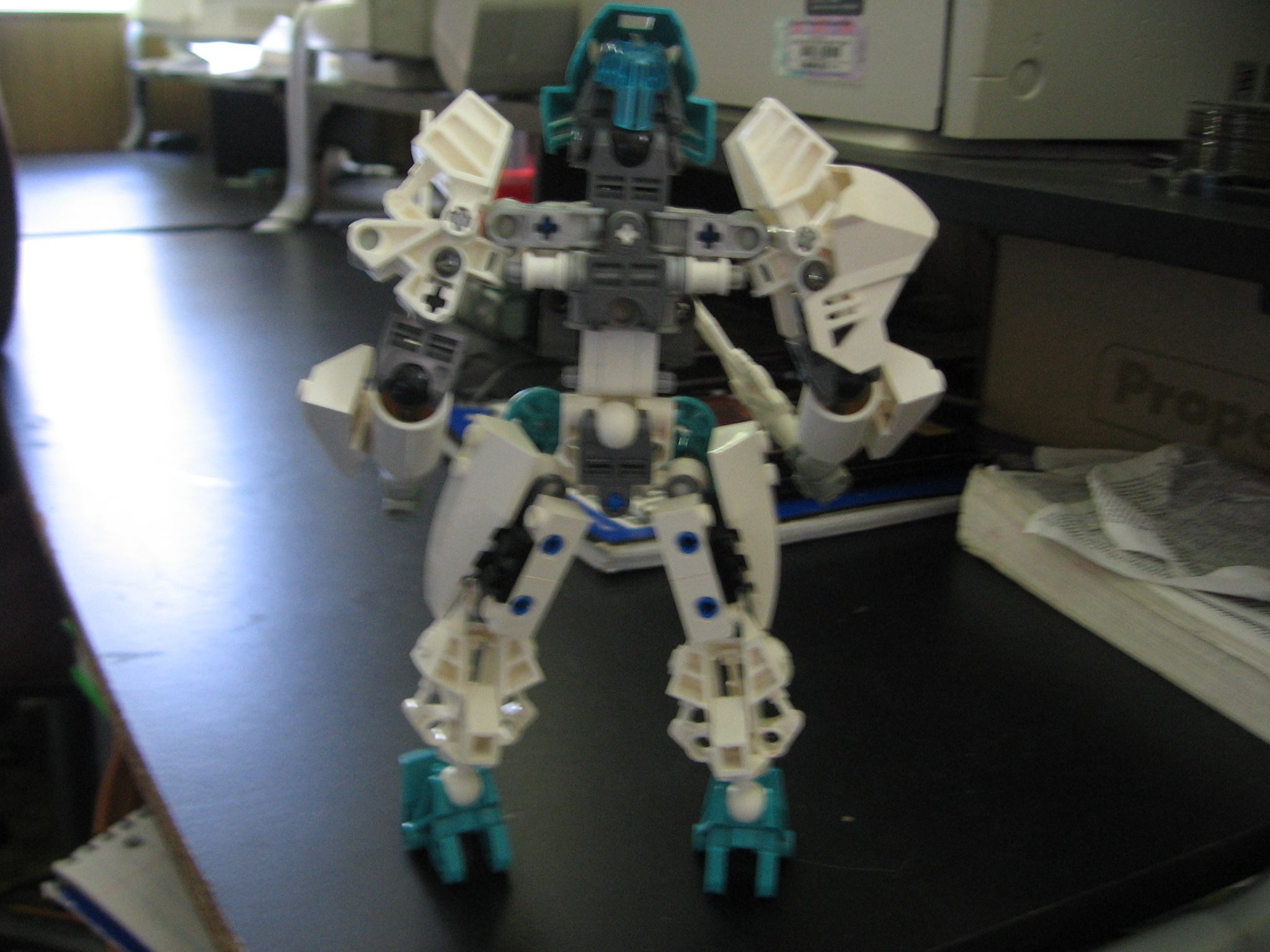 back_2.jpg