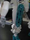 leg_1.jpg