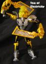 Toa-of-Electricity