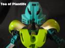 Toa-of-Plantlife