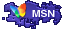 p_msn.gif