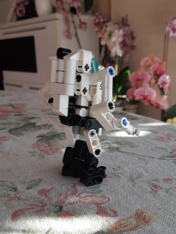 20190625_194029.jpg