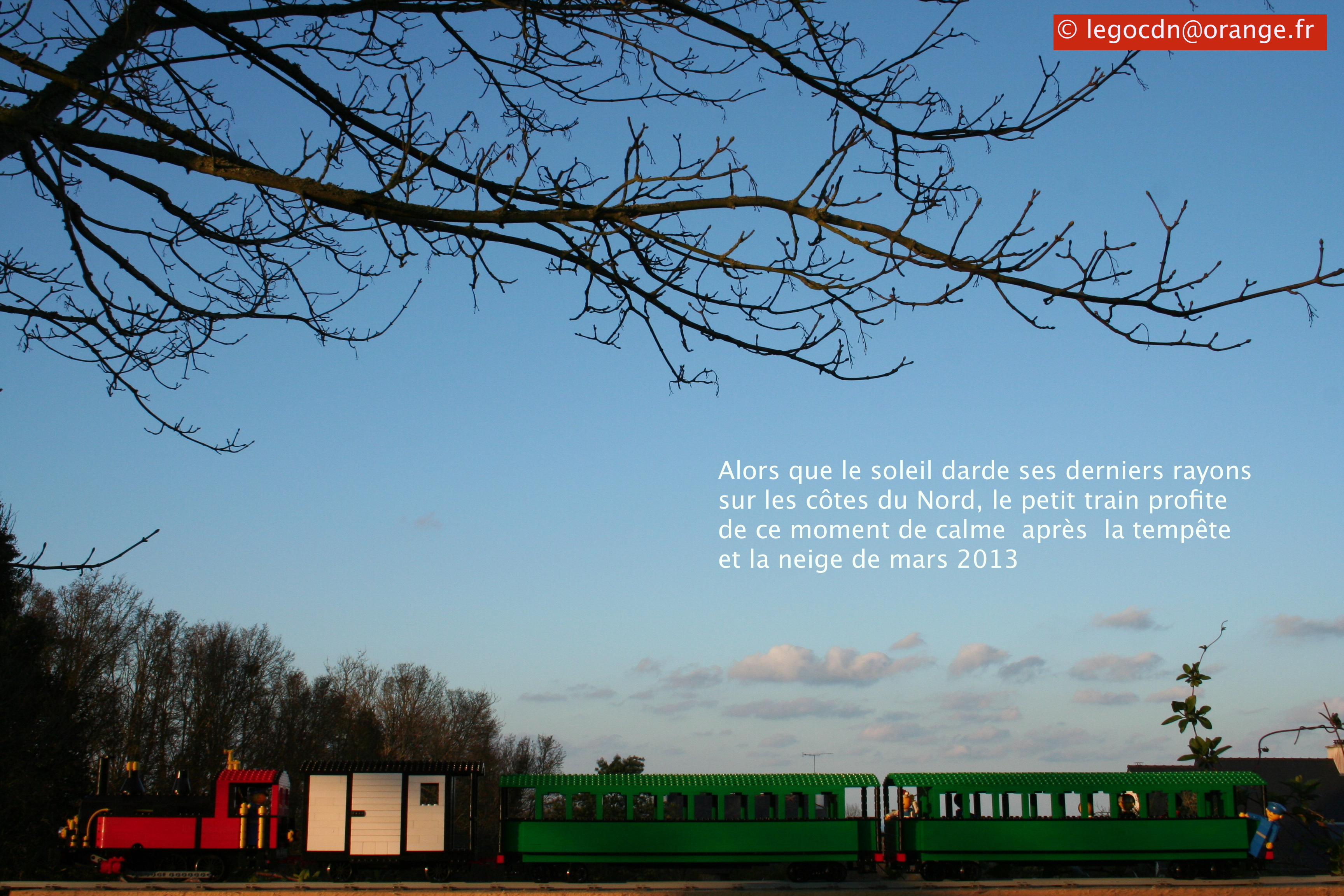 cdnzv01.jpg