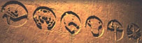rahi_glyphs.jpg