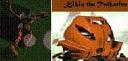 banner4.jpg