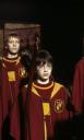 harry.jpg