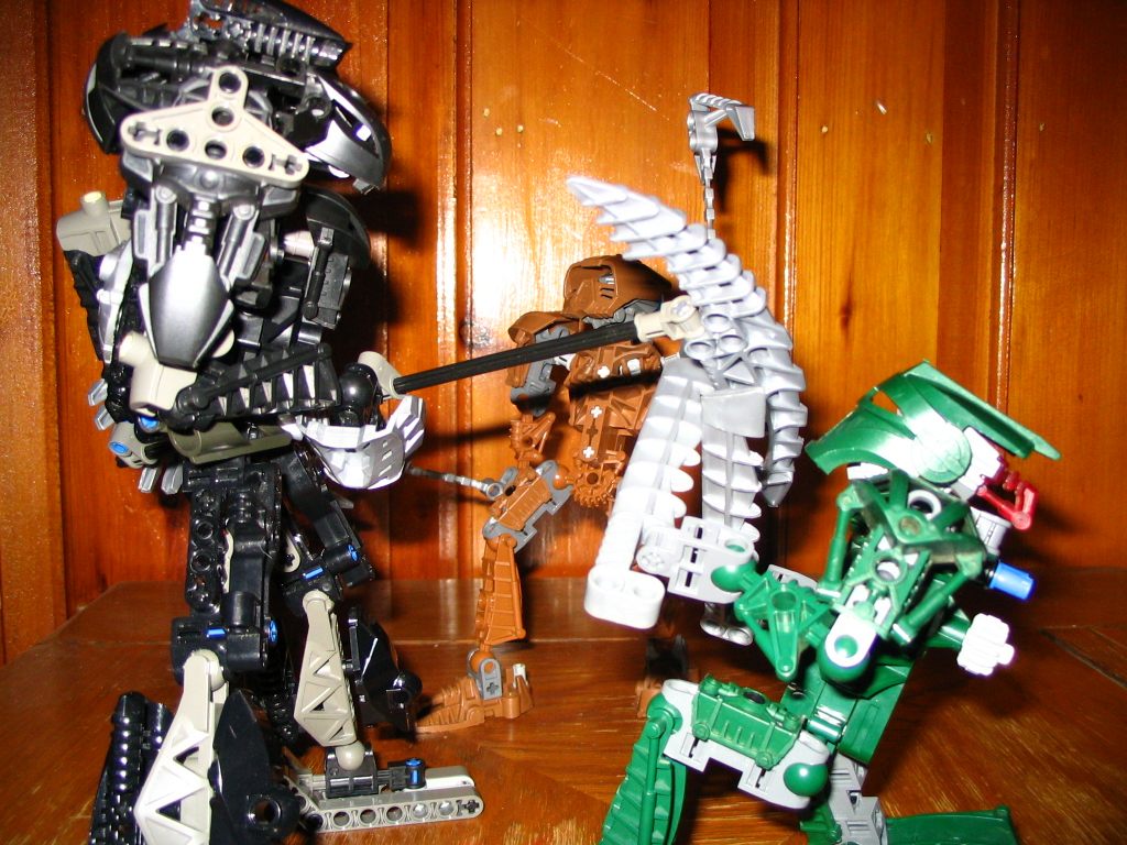 fighting_toa_1.jpg