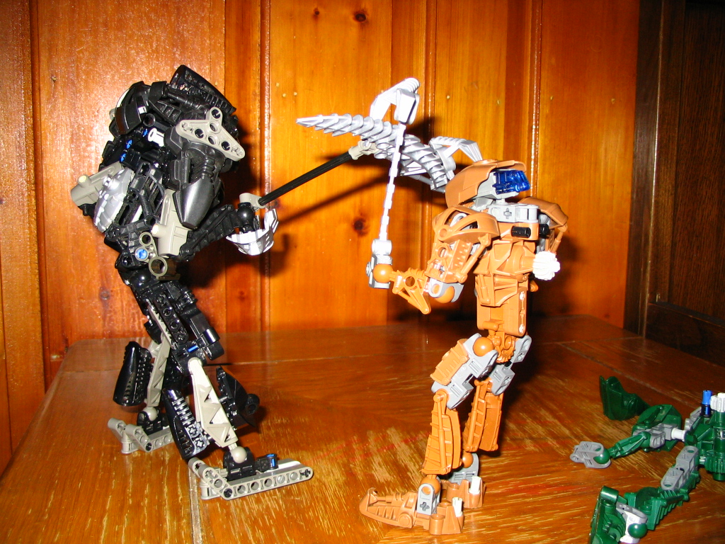 fighting_toa_2.jpg