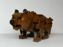 bear1.jpg