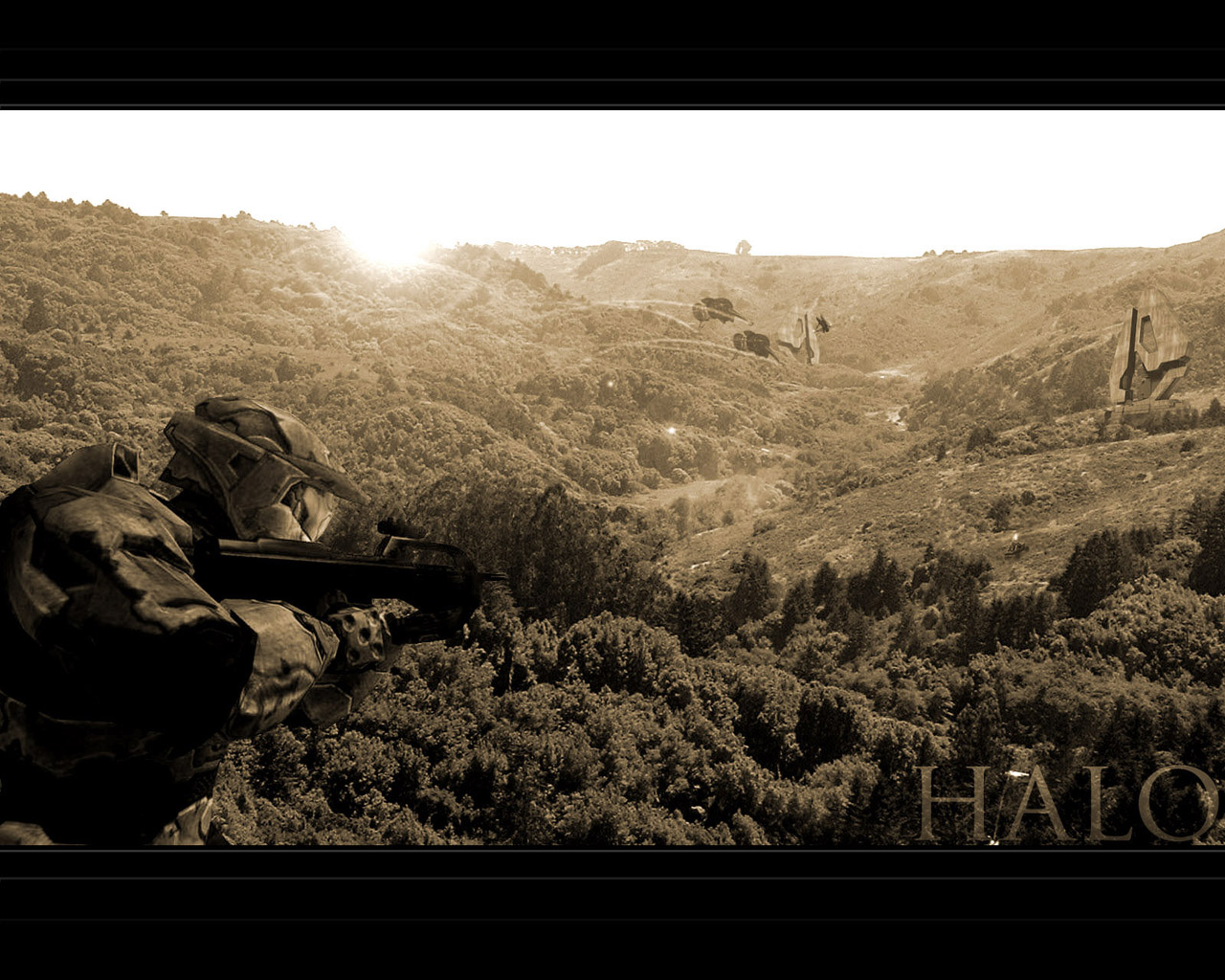 halophoto1280.jpg