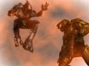 halo11.jpg