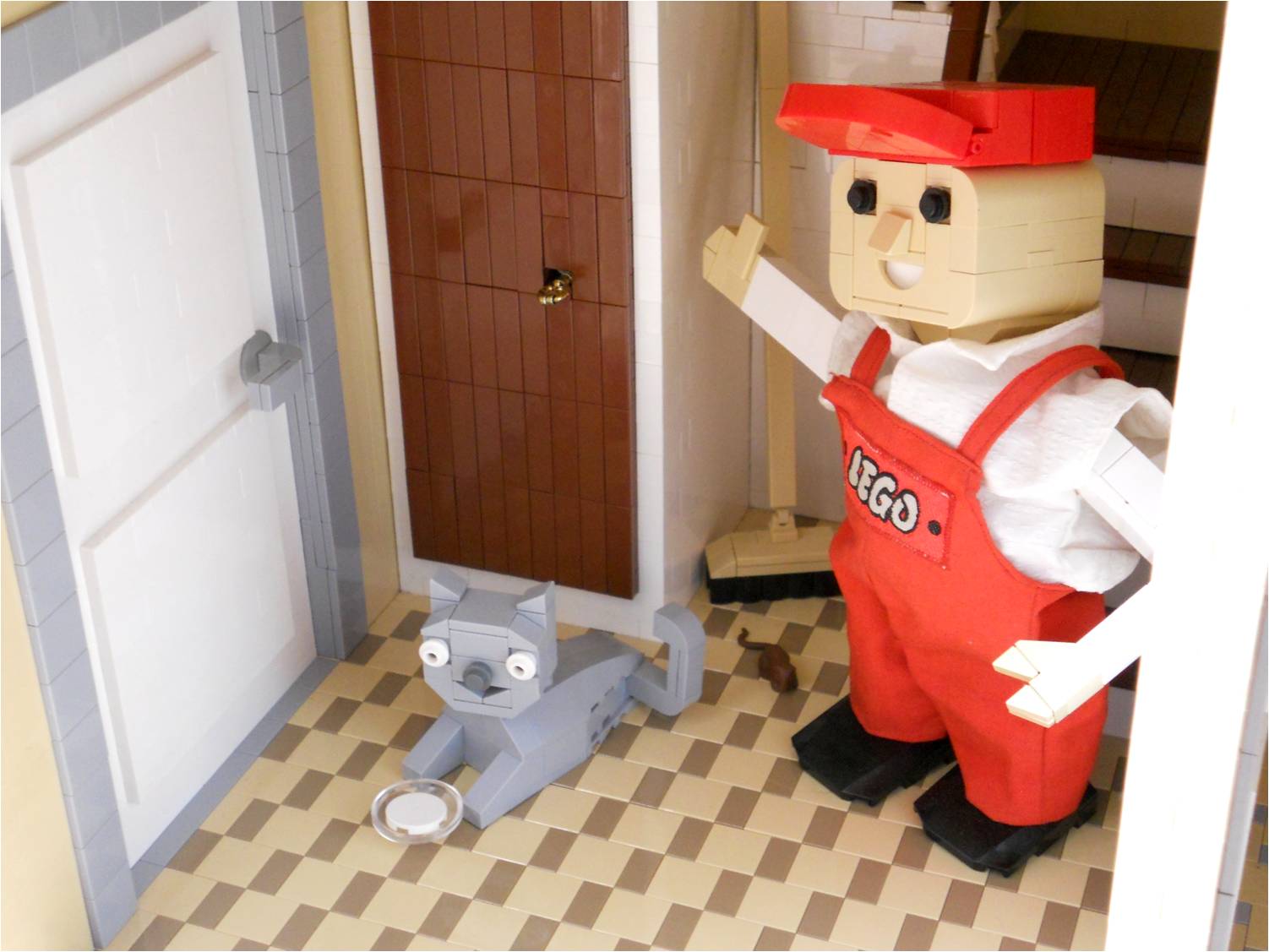cat_04.jpg
