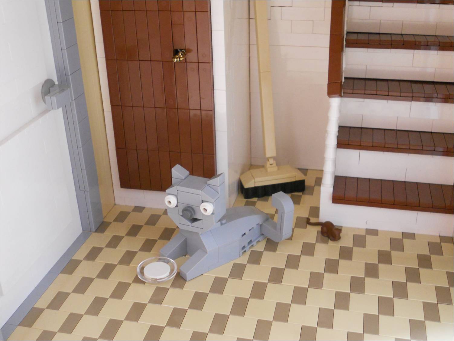 cat_05.jpg