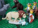 narnia_570.jpg