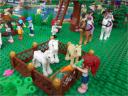 rainbow_holiday_center_380.jpg