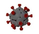 SARS-CoV-2