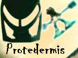 protedermis2.jpg