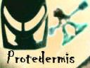 protedermis2.jpg