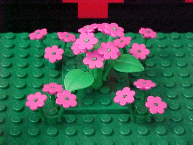 pinkflowers.jpg