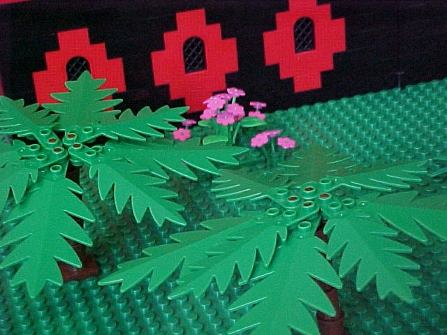 smalltrees.jpg
