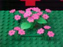 pinkflowers.jpg