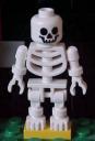 skel.jpg