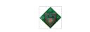 foresterbanner.jpg