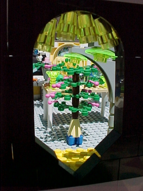 cherrytree.jpg