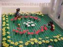 garden2.jpg