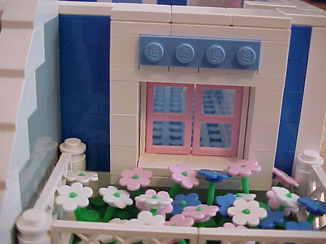 window1.jpg