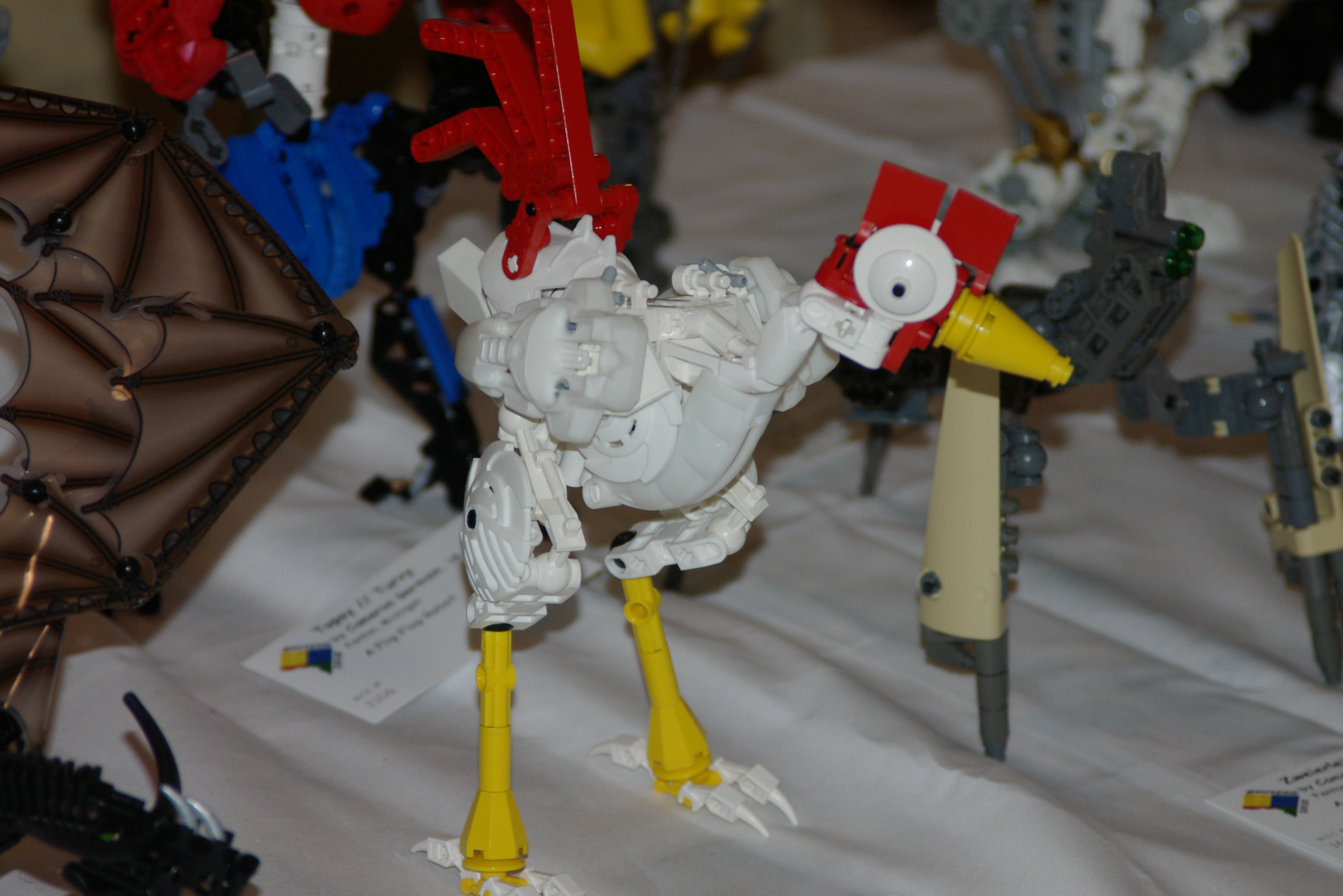 imgp8112.jpg