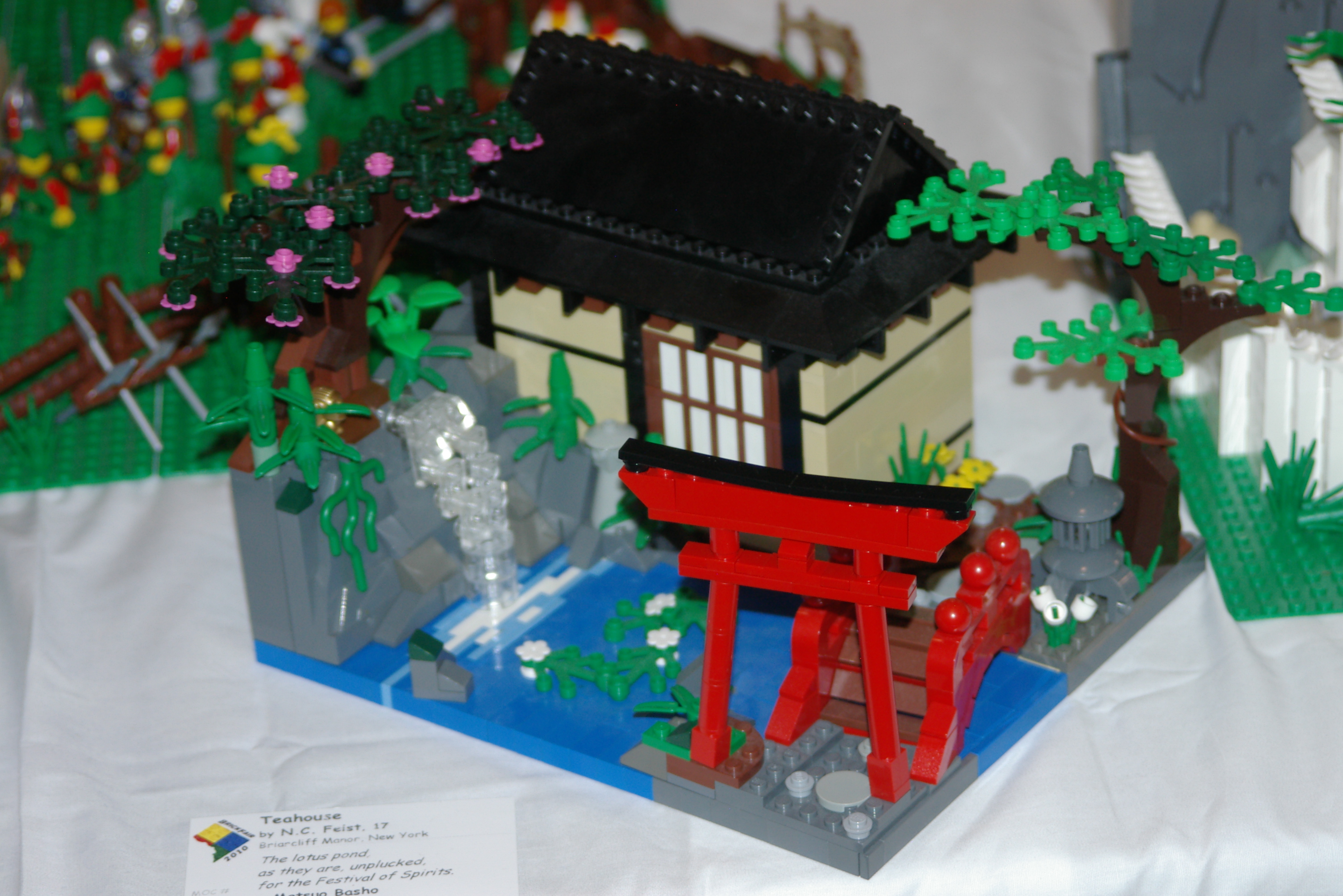 imgp7895.jpg