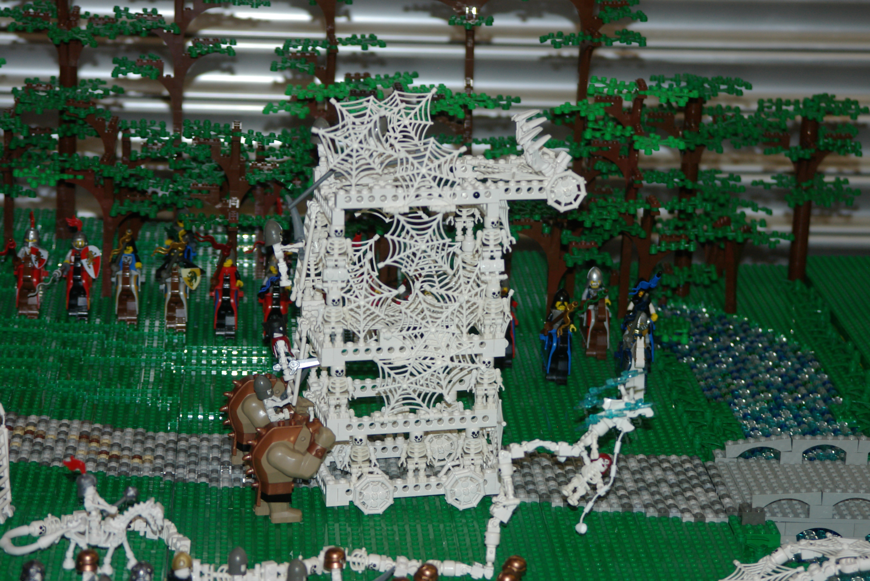 imgp7958.jpg