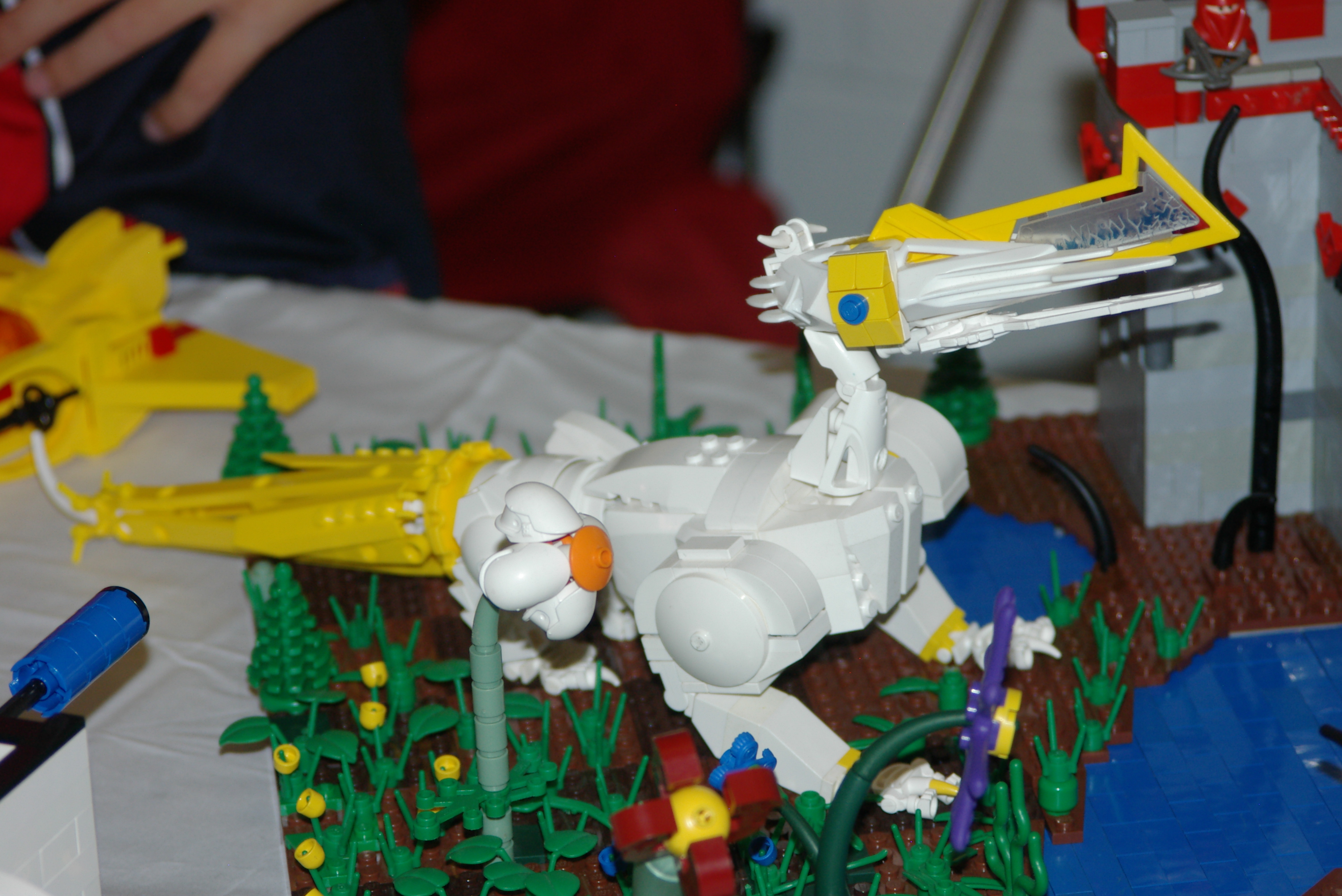 imgp7989.jpg