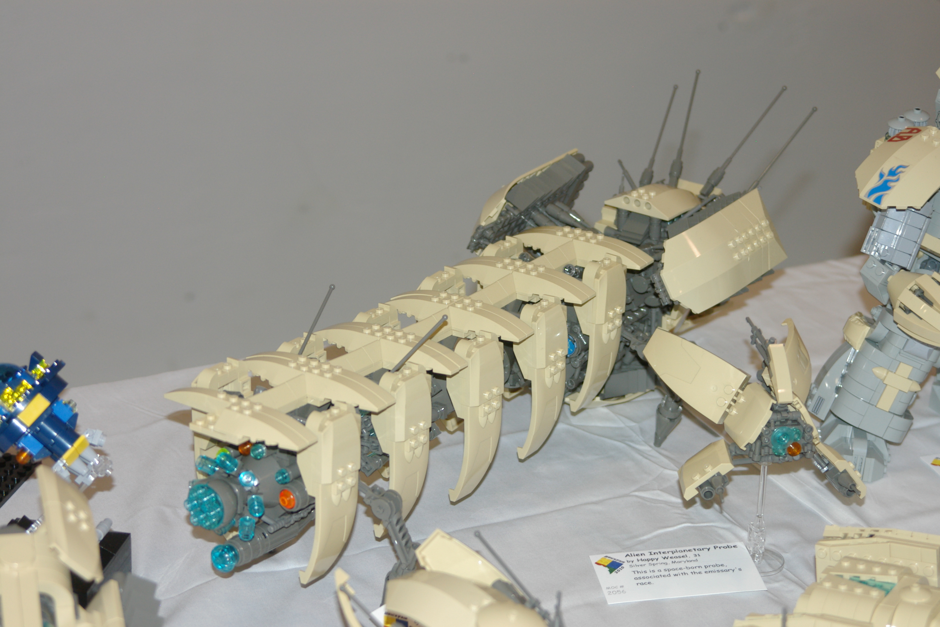 imgp8012.jpg