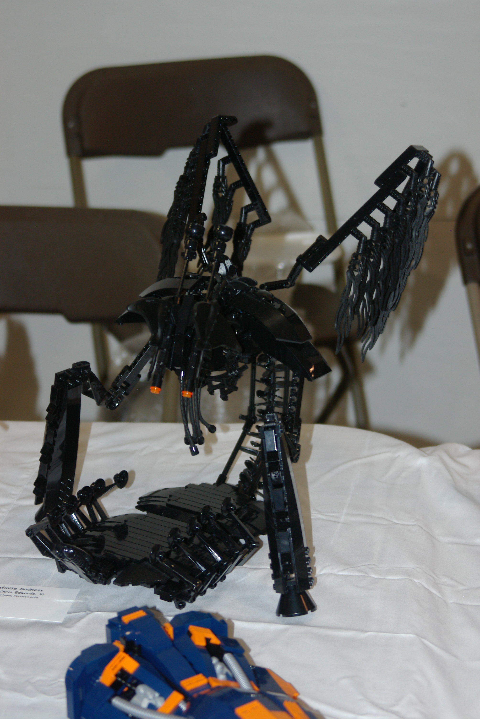 imgp8027.jpg