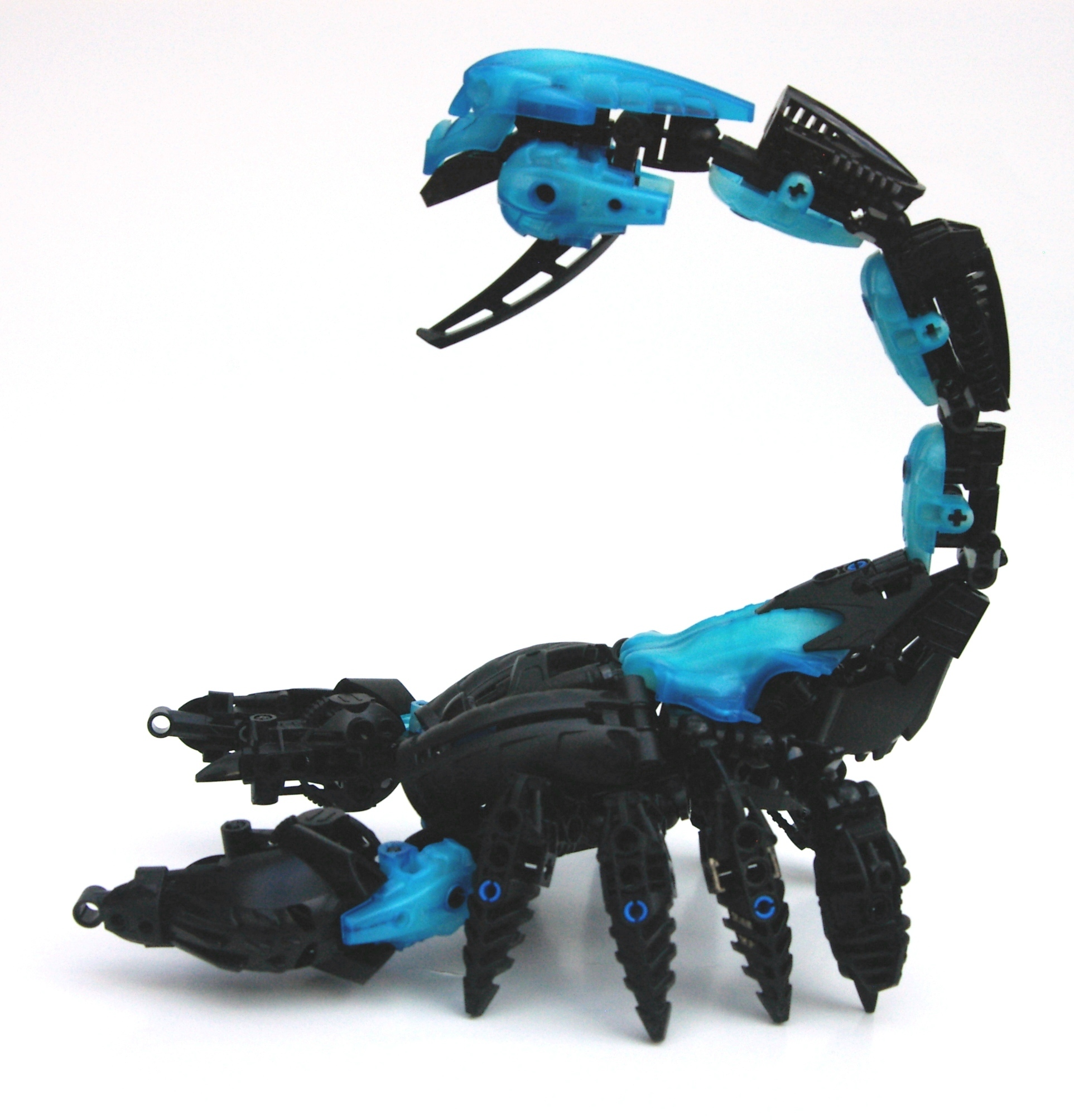 scorpion_2.jpg