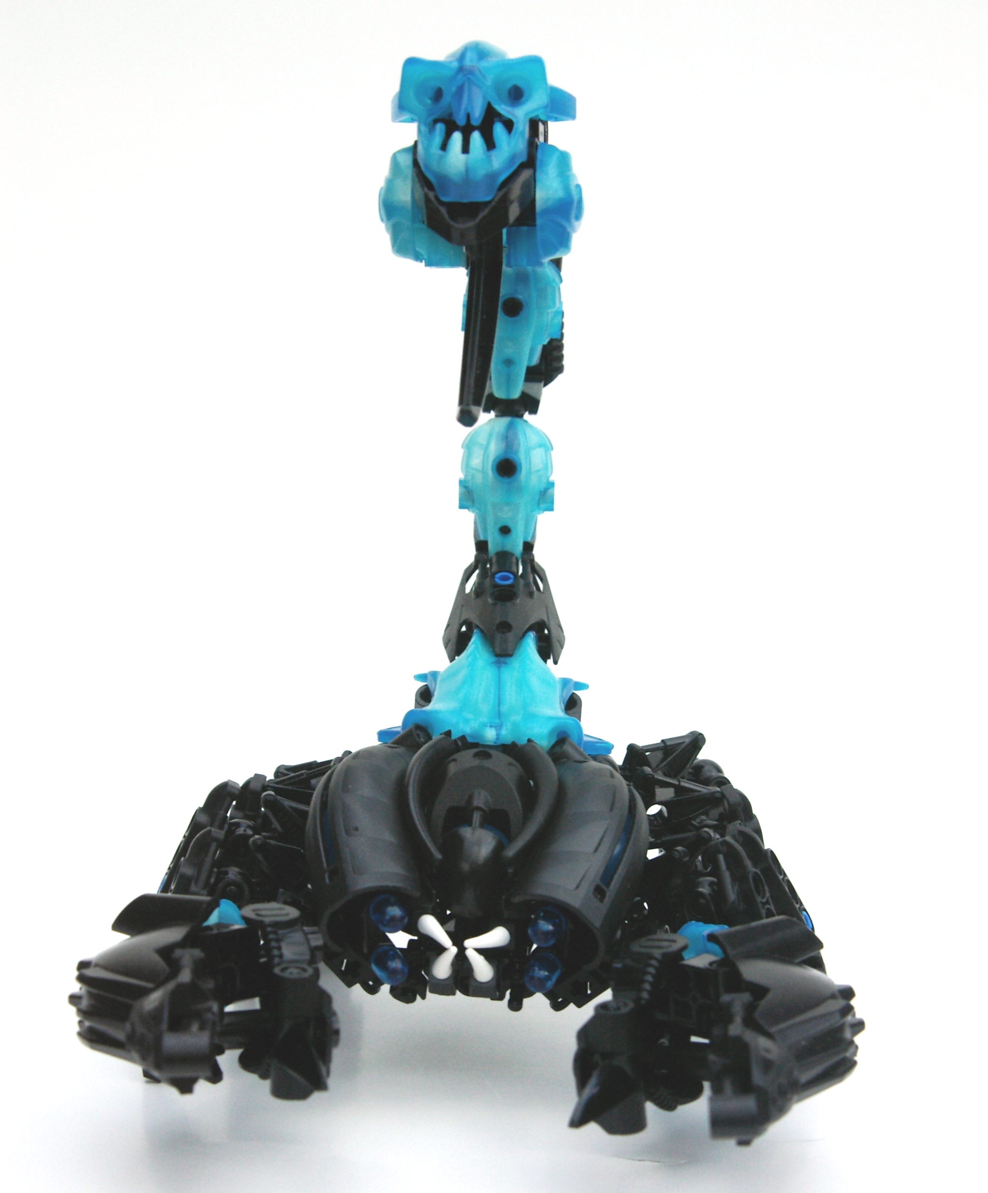 scorpion_3.jpg