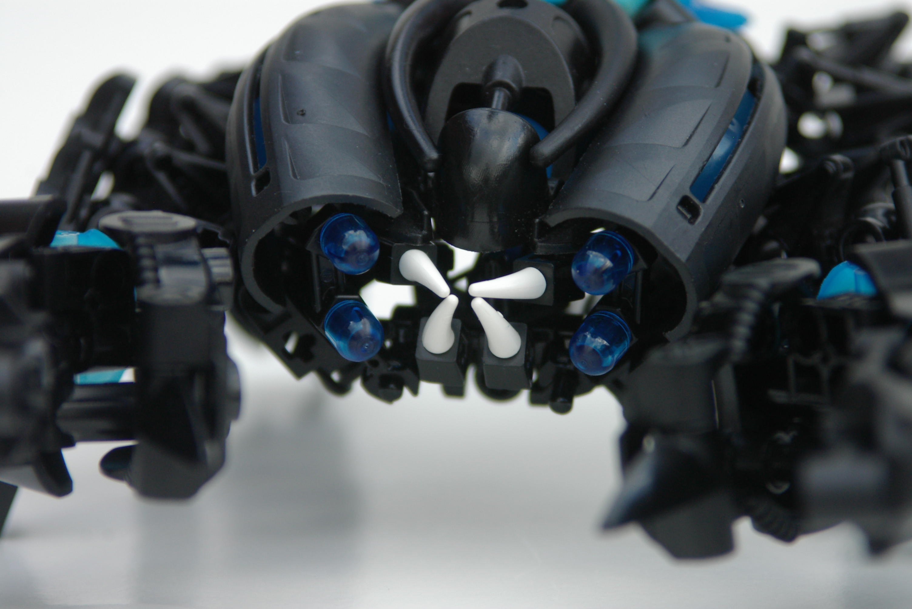 scorpion_4.jpg