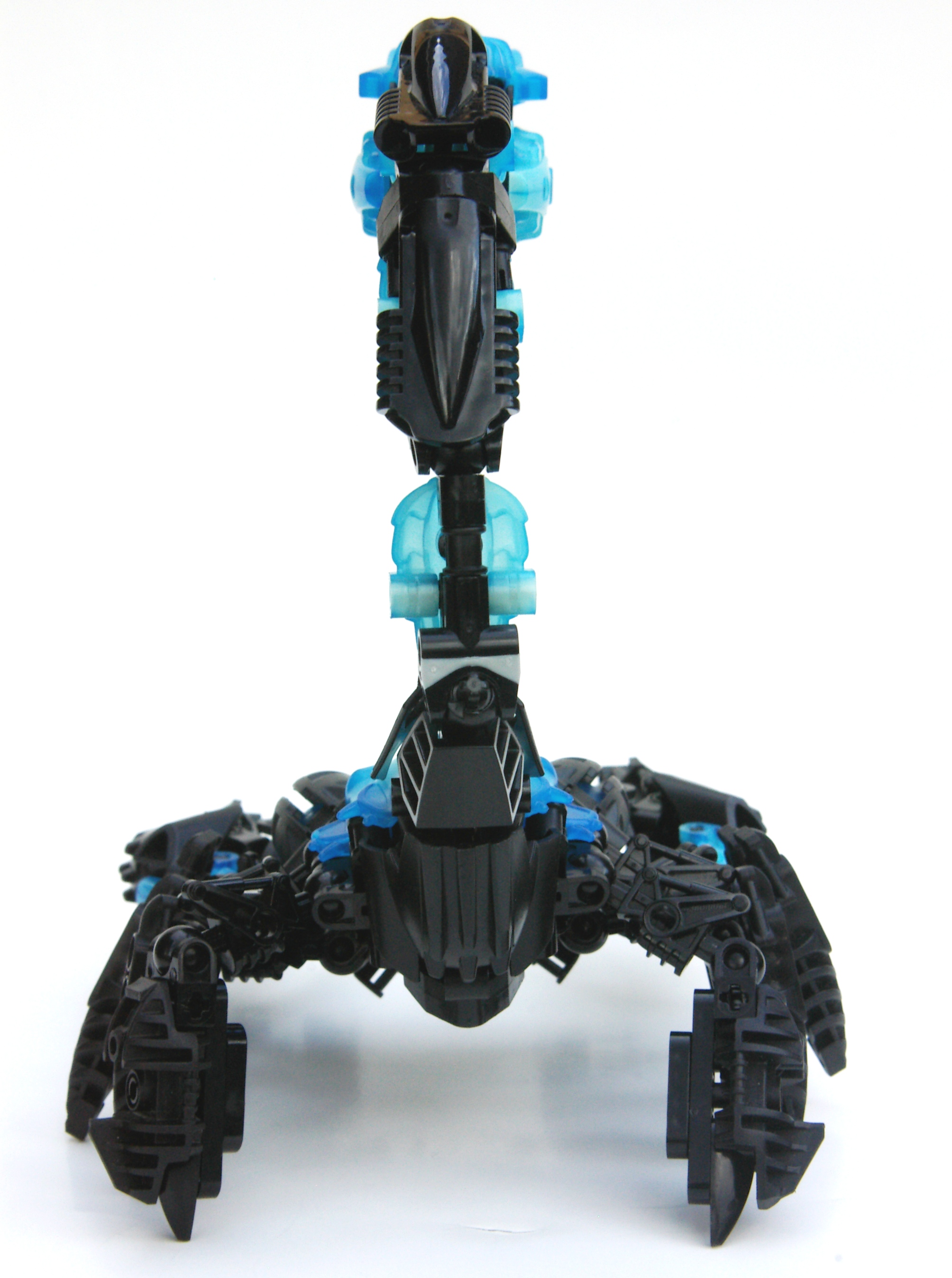 scorpion_5.jpg